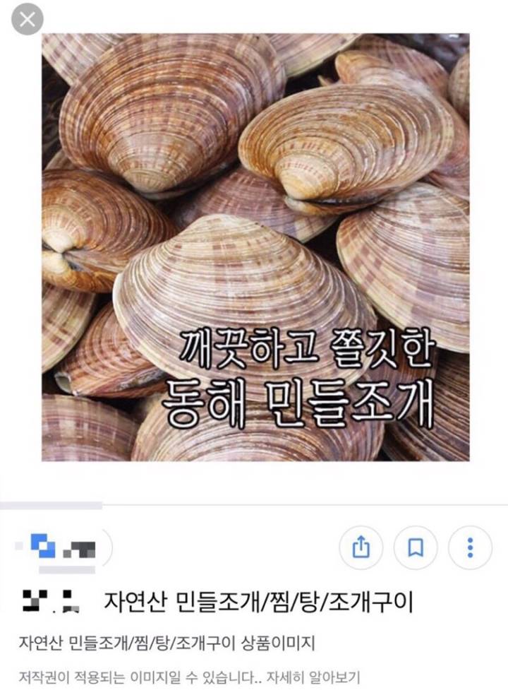 아담스백합