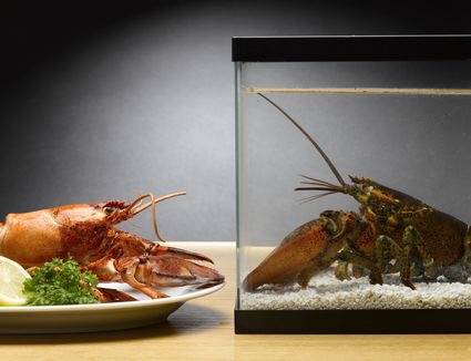 바닷가재