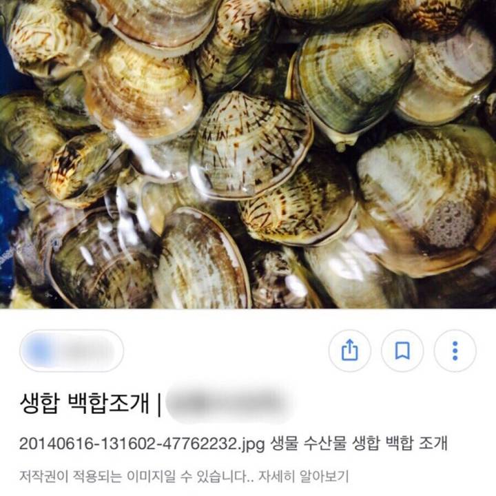 백합