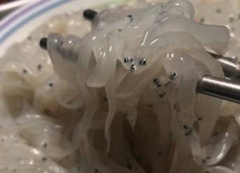 뱀장어