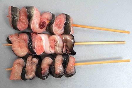 뱀장어