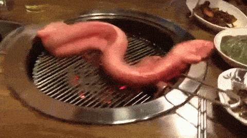 뱀장어