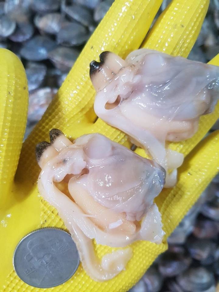 바지락