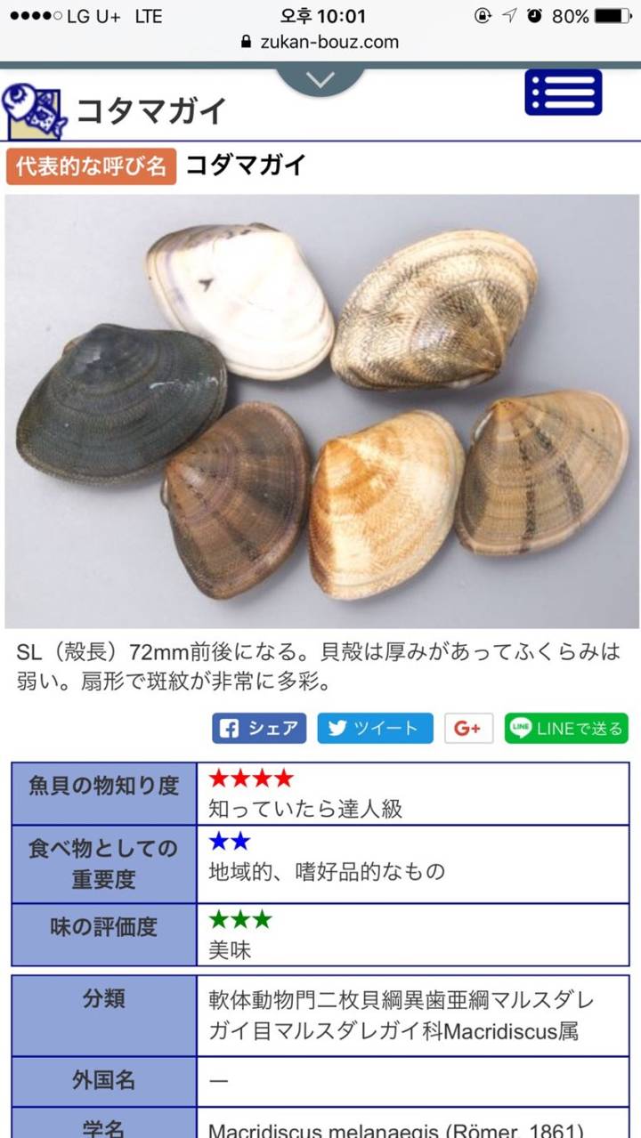 바지락