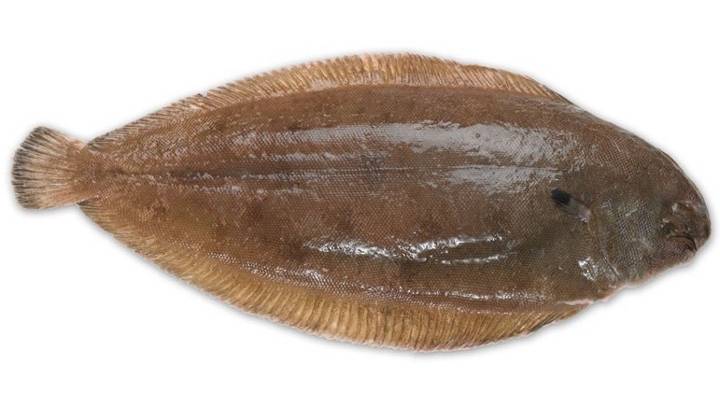 박대