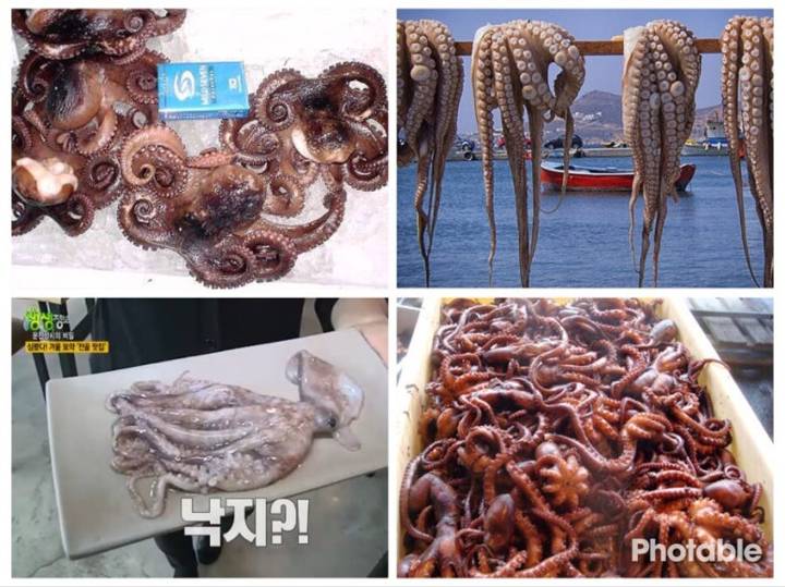 발문어