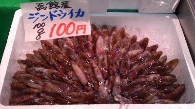 반원니꼴뚜기
