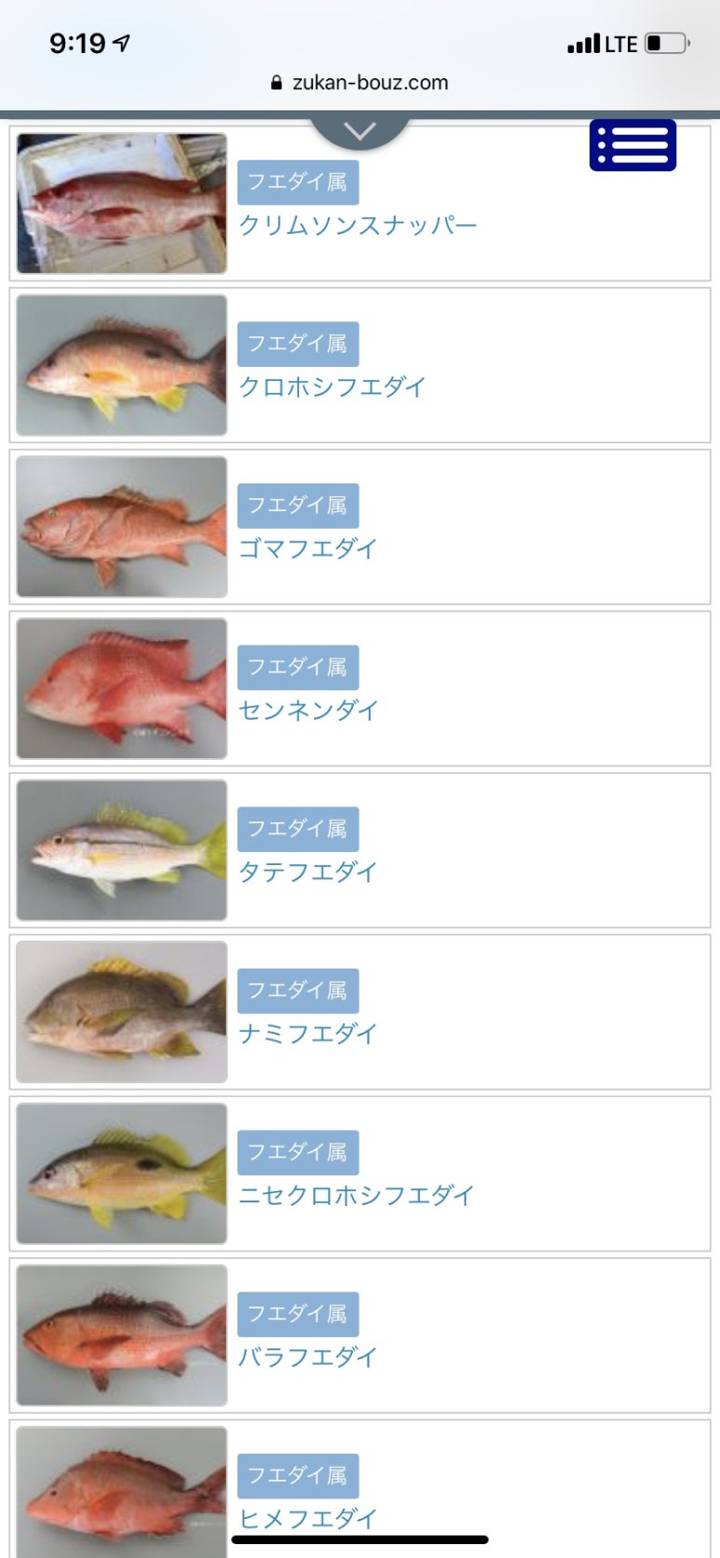 바라후에다이(한글명 없음)