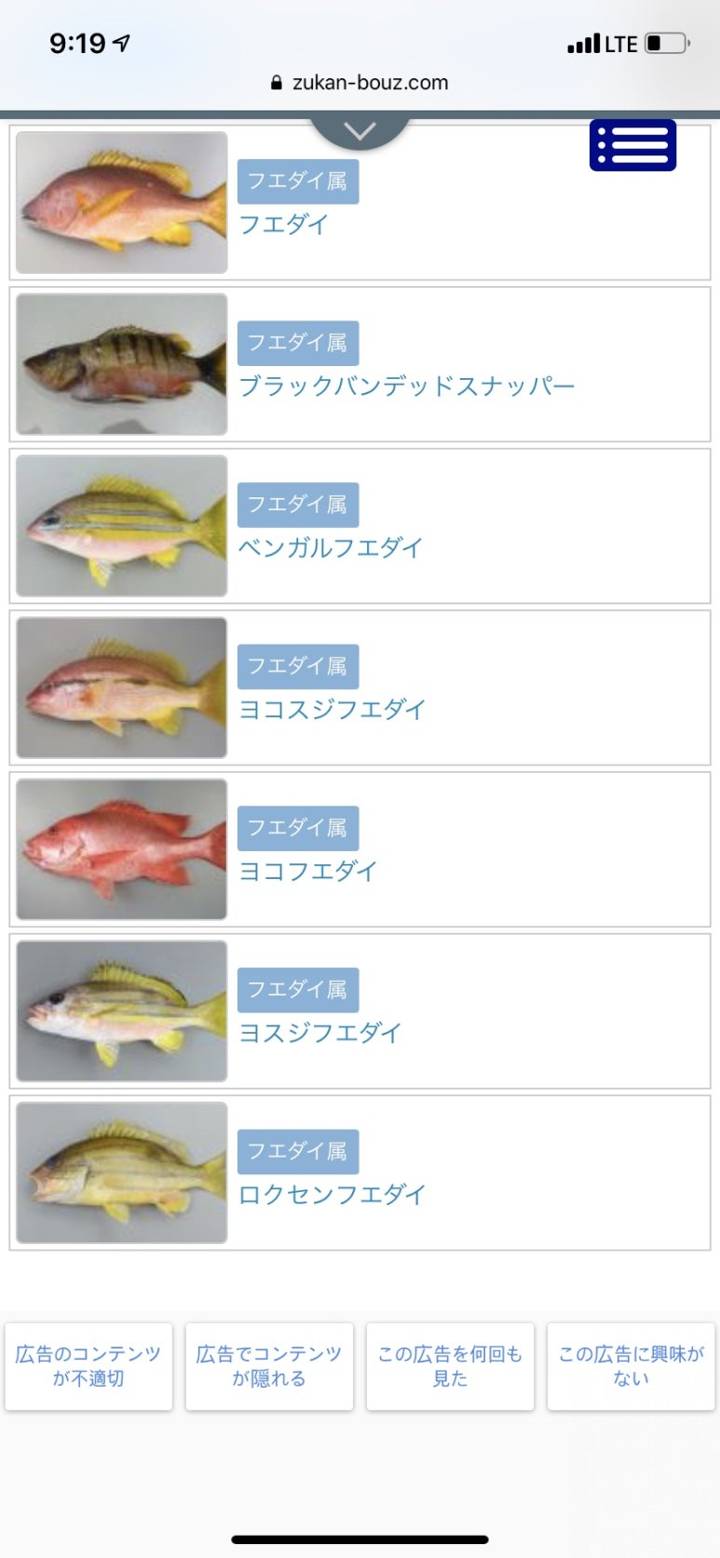 바라후에다이(한글명 없음)