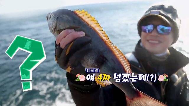 벤자리