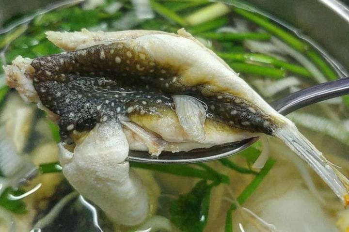 복섬