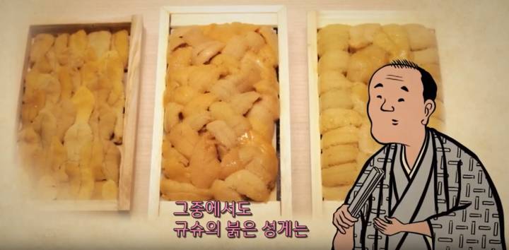 보라성게