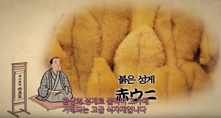 보라성게