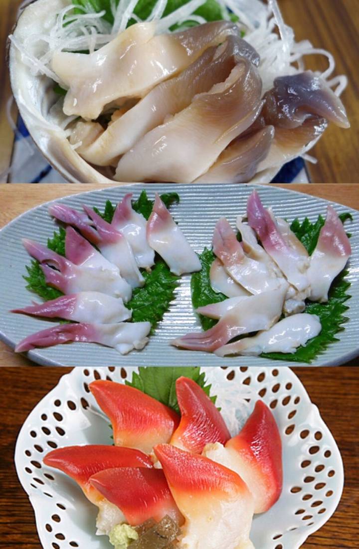 북방대합