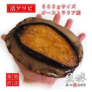 북방전복