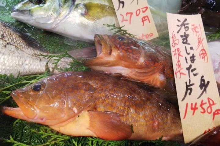 붉바리
