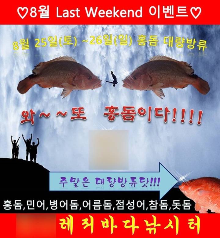 붉은퉁돔