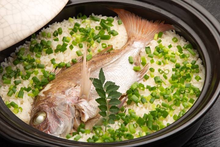참돔