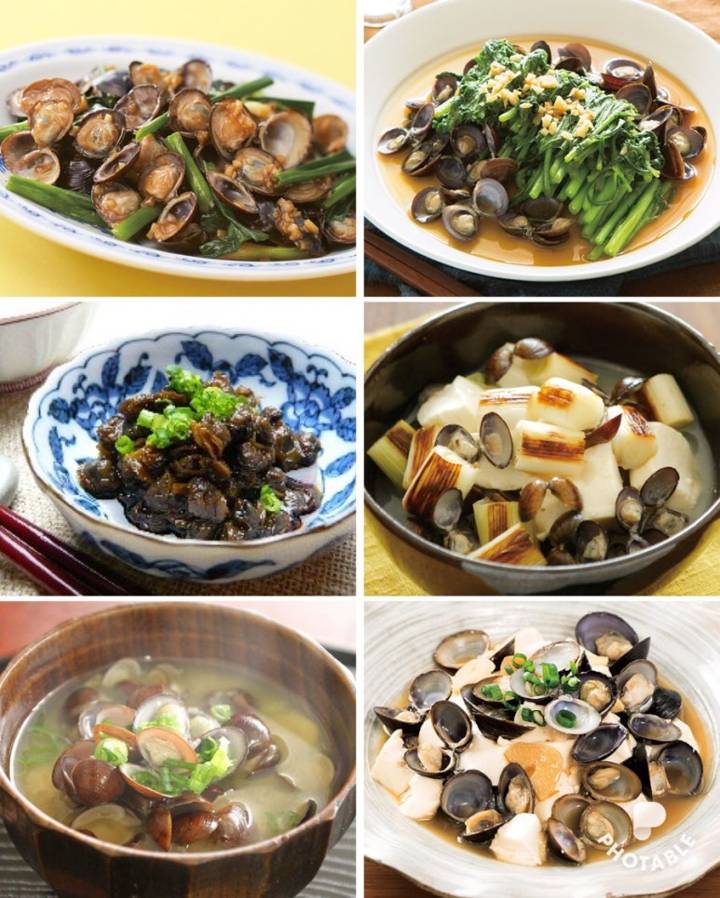참재첩