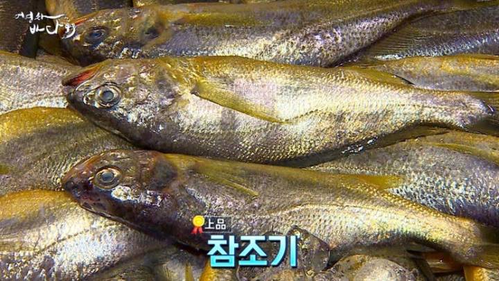 참조기