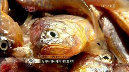참조기