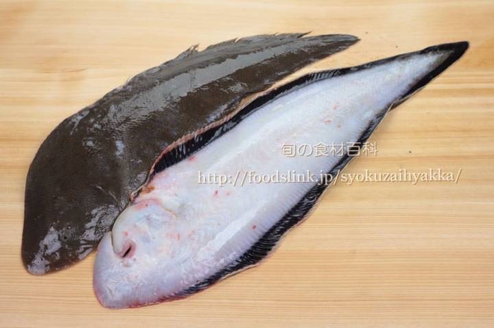 참서대