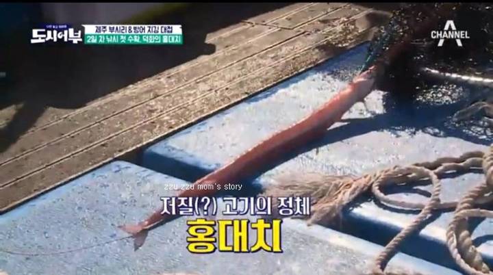 청대치