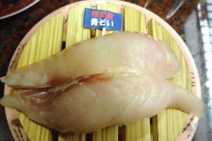 청회볼락