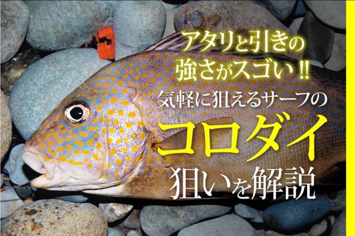 청황돔