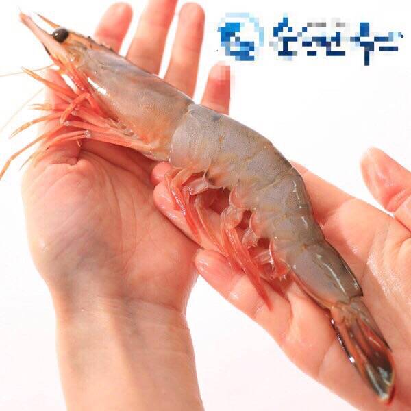 대하