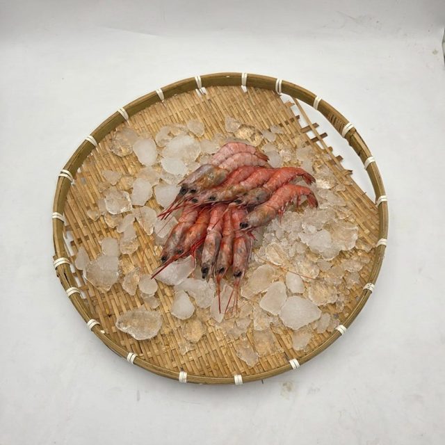 대롱수염새우