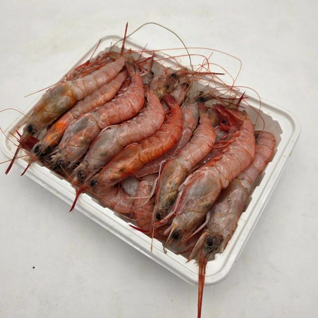 대롱수염새우