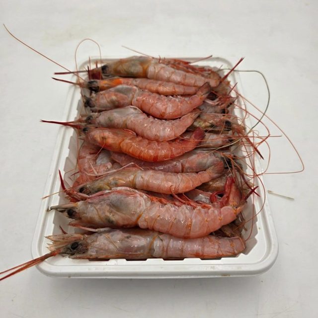 대롱수염새우
