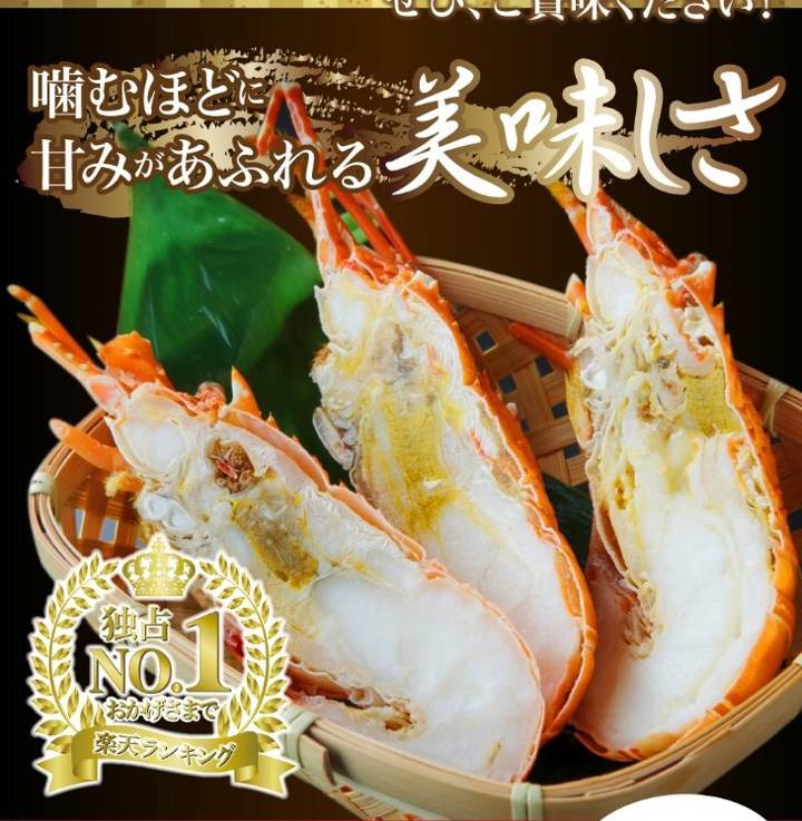 닭새우