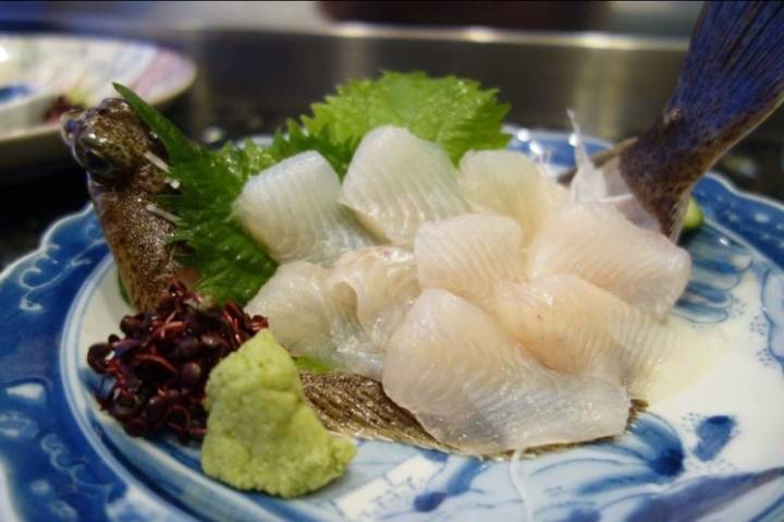 도다리