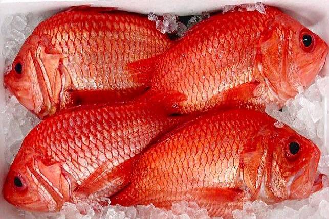도화돔