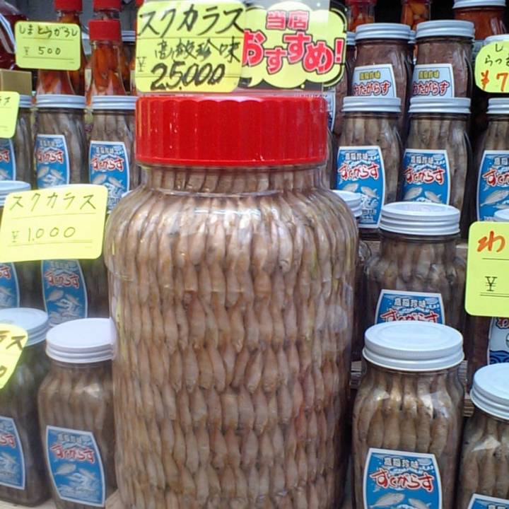 독가시치