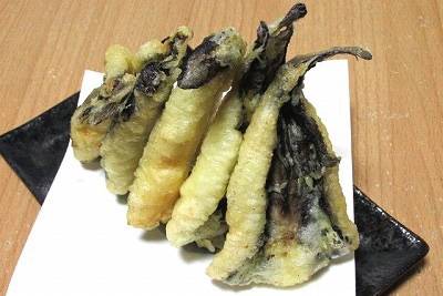 독가시치