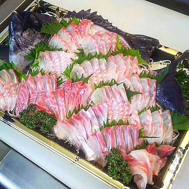 돌돔