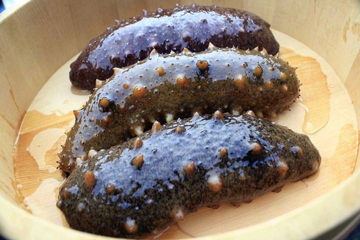 돌기해삼