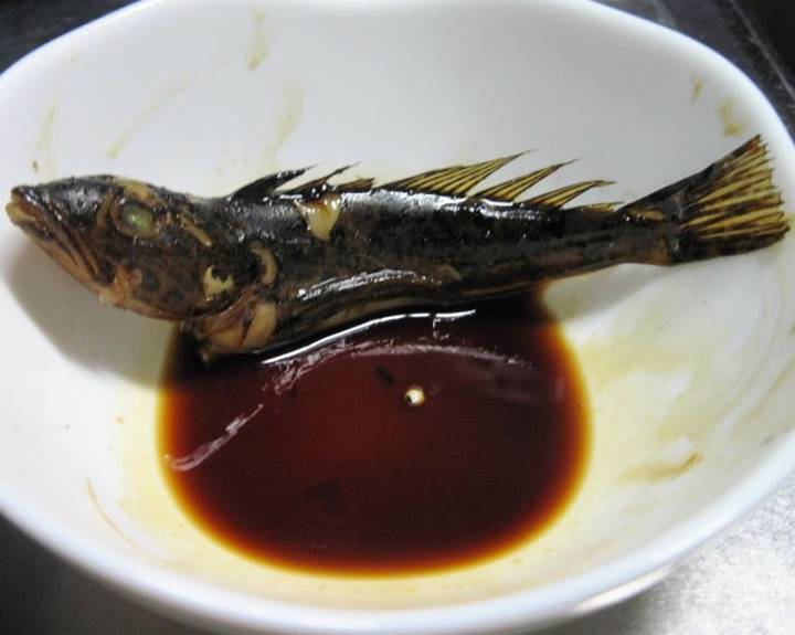 돌팍망둑