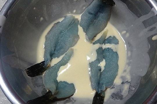 돌팍망둑