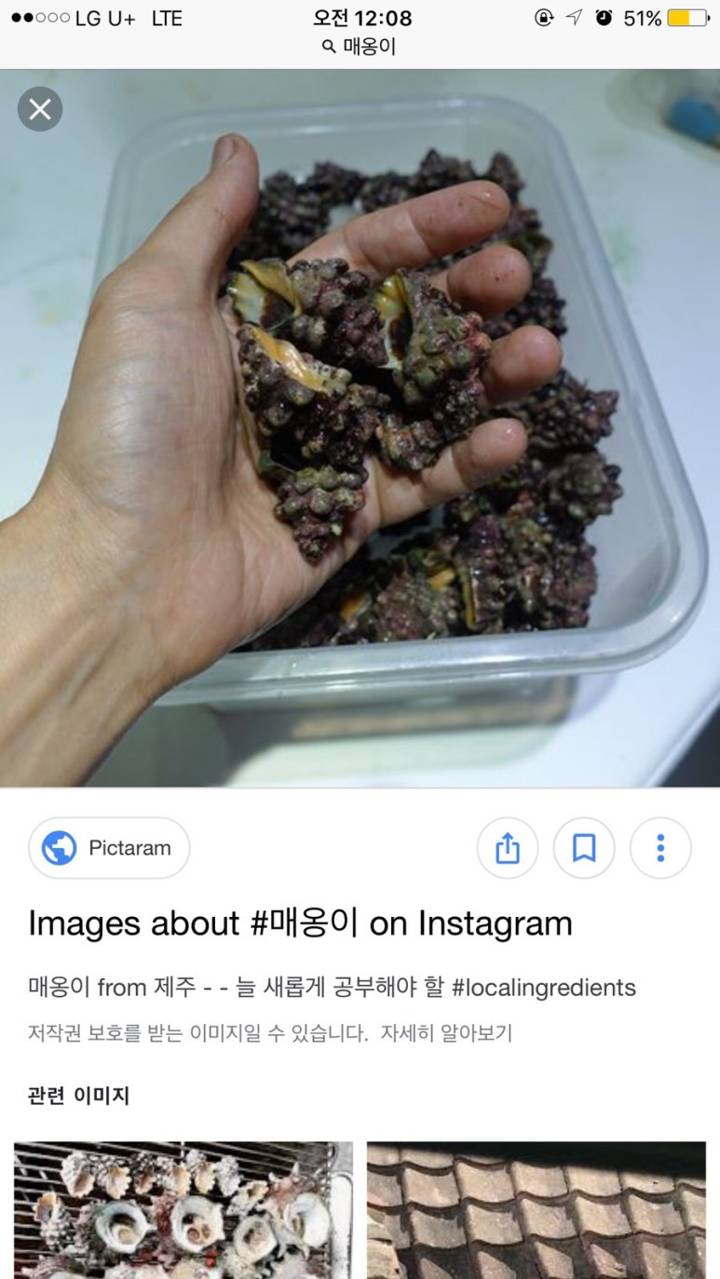 두드럭고둥