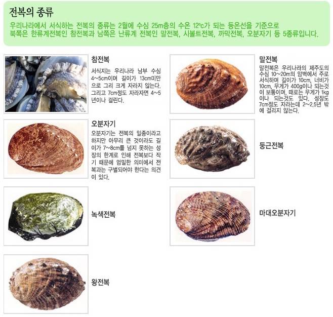 둥근전복