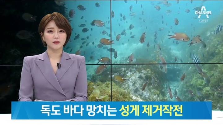 둥근성게