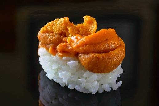 둥근성게