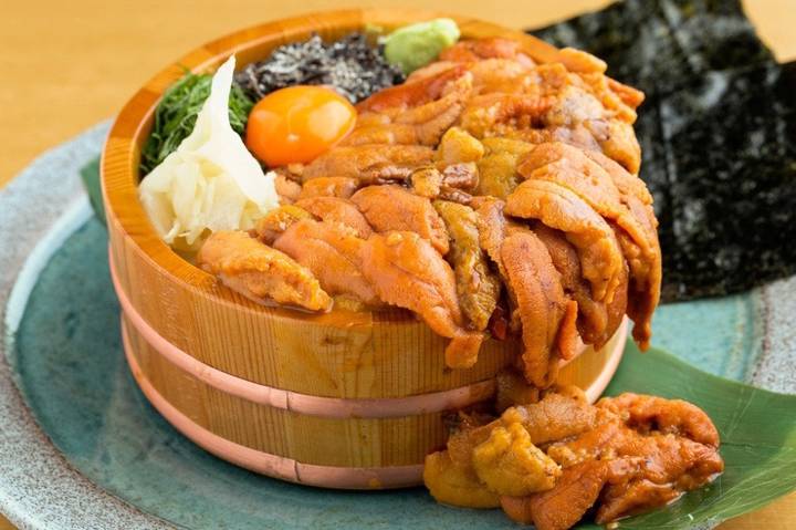 둥근성게