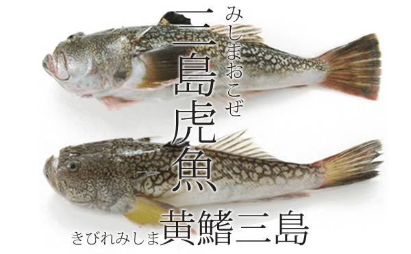 얼룩통구멍