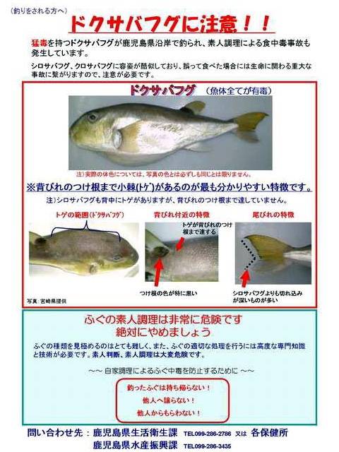 은밀복