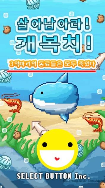 개복치
